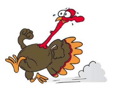 Turkey trot turkey
