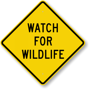 WATCH FOR WILDLIFE (YELLOW SIGN)