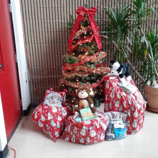 Gifts under the tree at the COC ready for families to pick up.